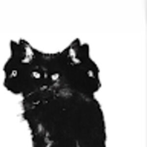 Meet your Posher, Yanna